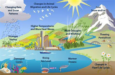 Climate Change, Environmental Issues, and National Security: Unveiling the Nexus